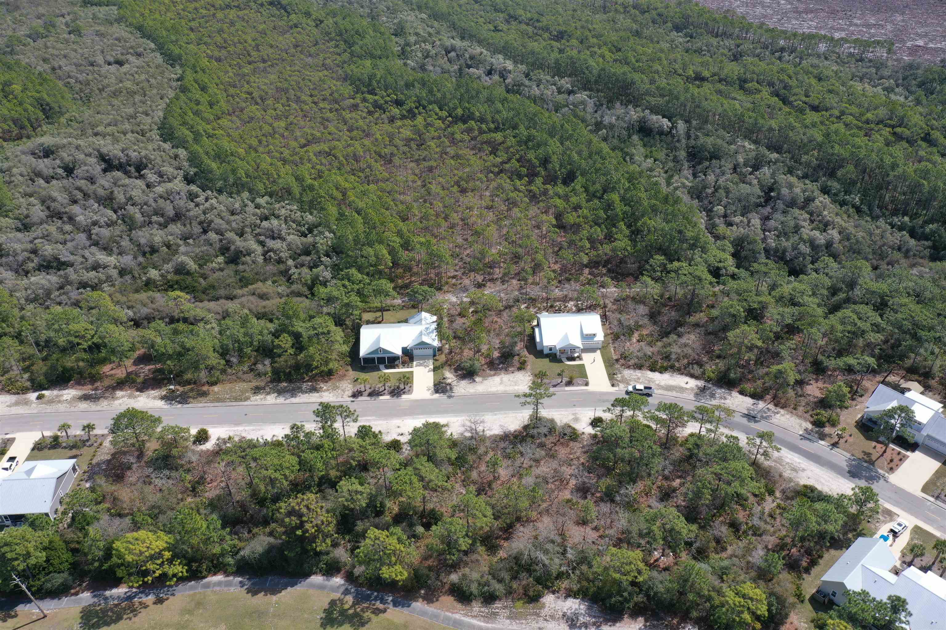 309 Royal Tern Way Carrabelle, FL 32322 - Photo 25 of 36