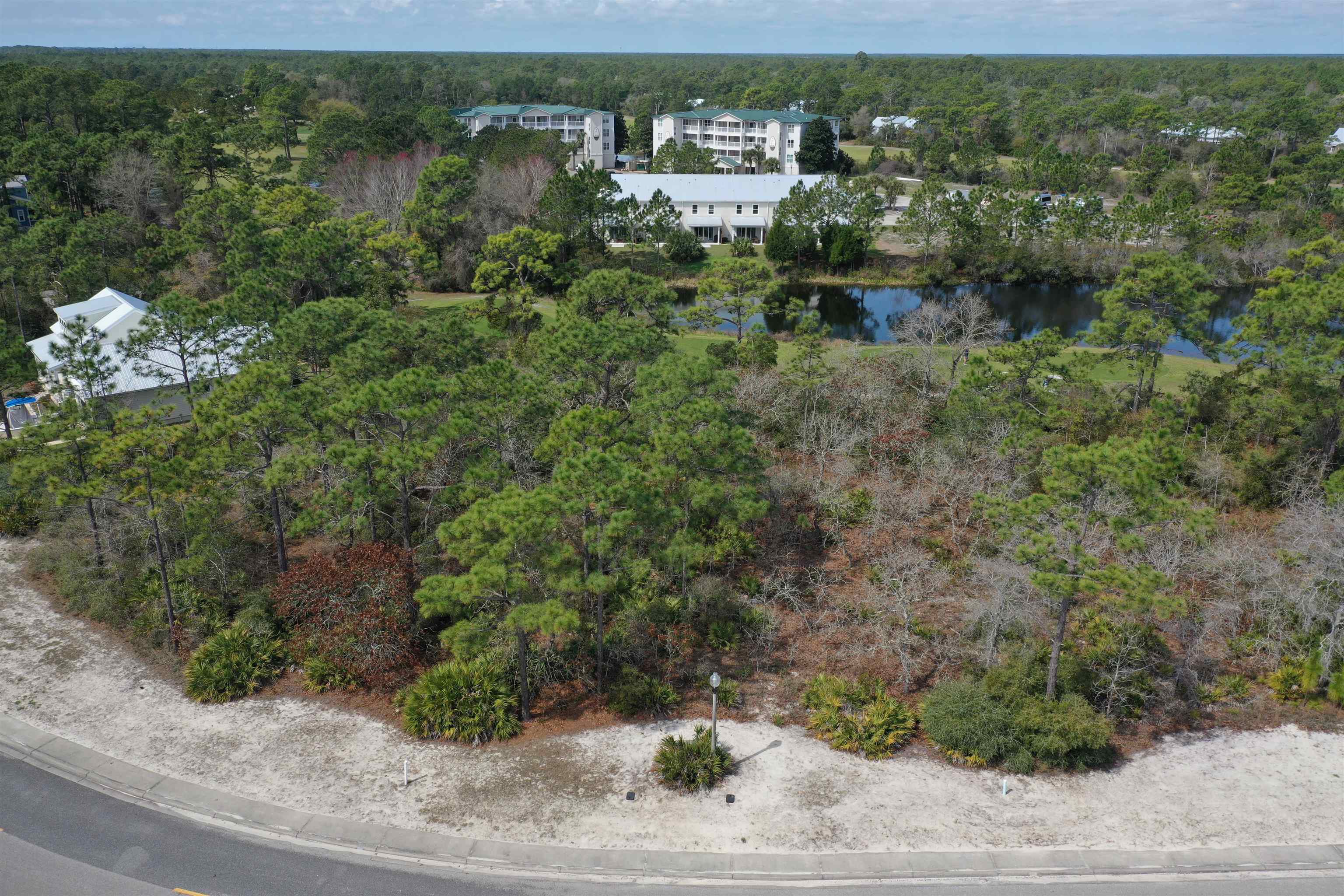 309 Royal Tern Way Carrabelle, FL 32322 - Photo 4 of 36