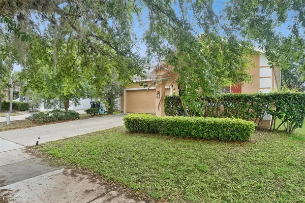 a view of a backyard with large trees