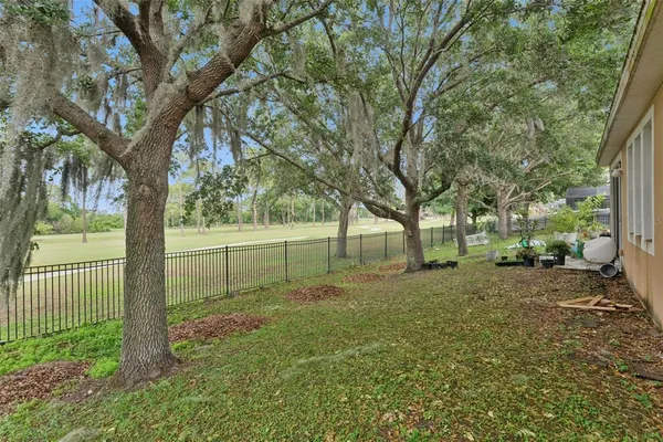 a view of a yard with large tree