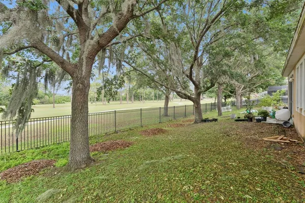 a view of a garden