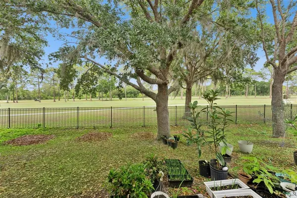 a view of a field with an trees