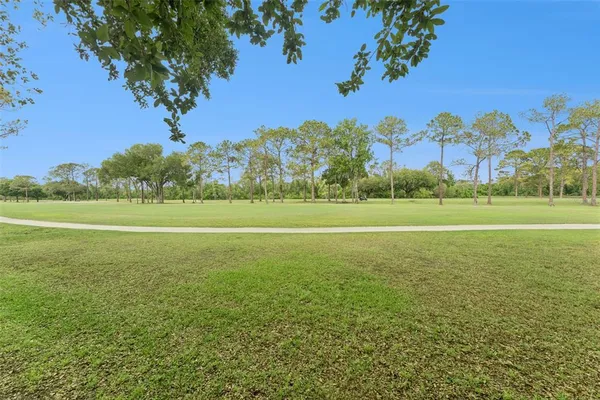 a view of a park with large trees