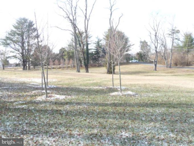 2253 Hunter Mill Road Vienna, VA 22181 - Photo 25 of 30 Wooded View / Acreage