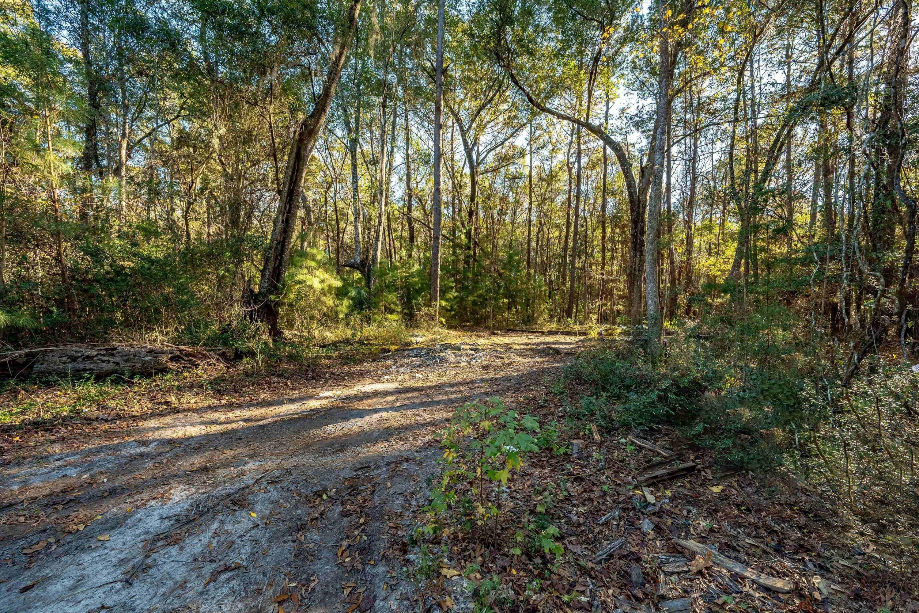 4033 River Road Johns Island, SC 29455 - Photo 11 of 24 Additional Photo