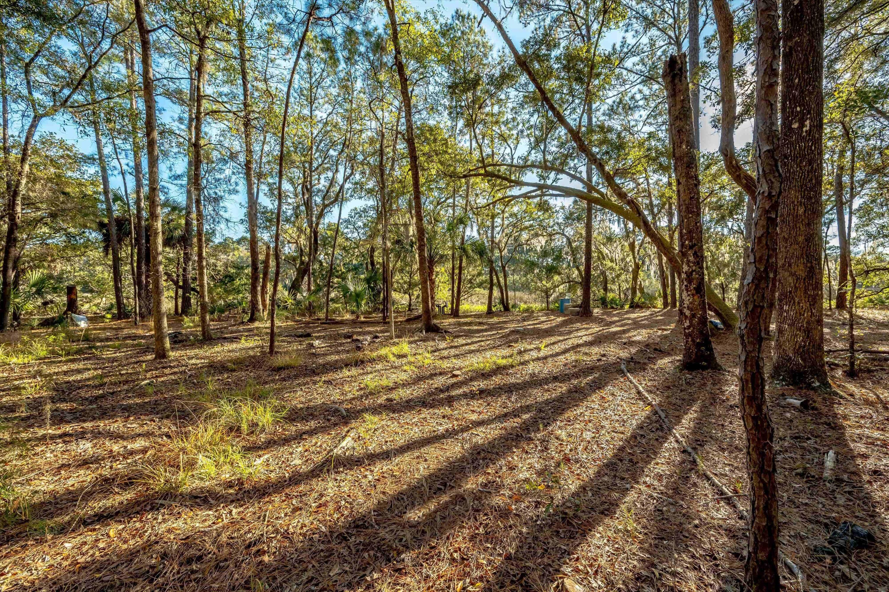 4033 River Road Johns Island, SC 29455 - Photo 13 of 24 Additional Photo