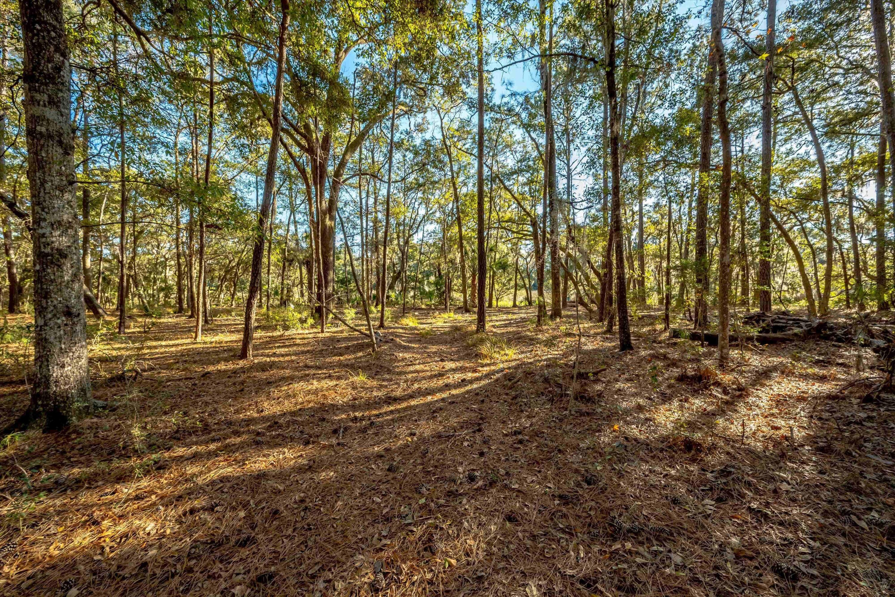 4033 River Road Johns Island, SC 29455 - Photo 14 of 24 Additional Photo