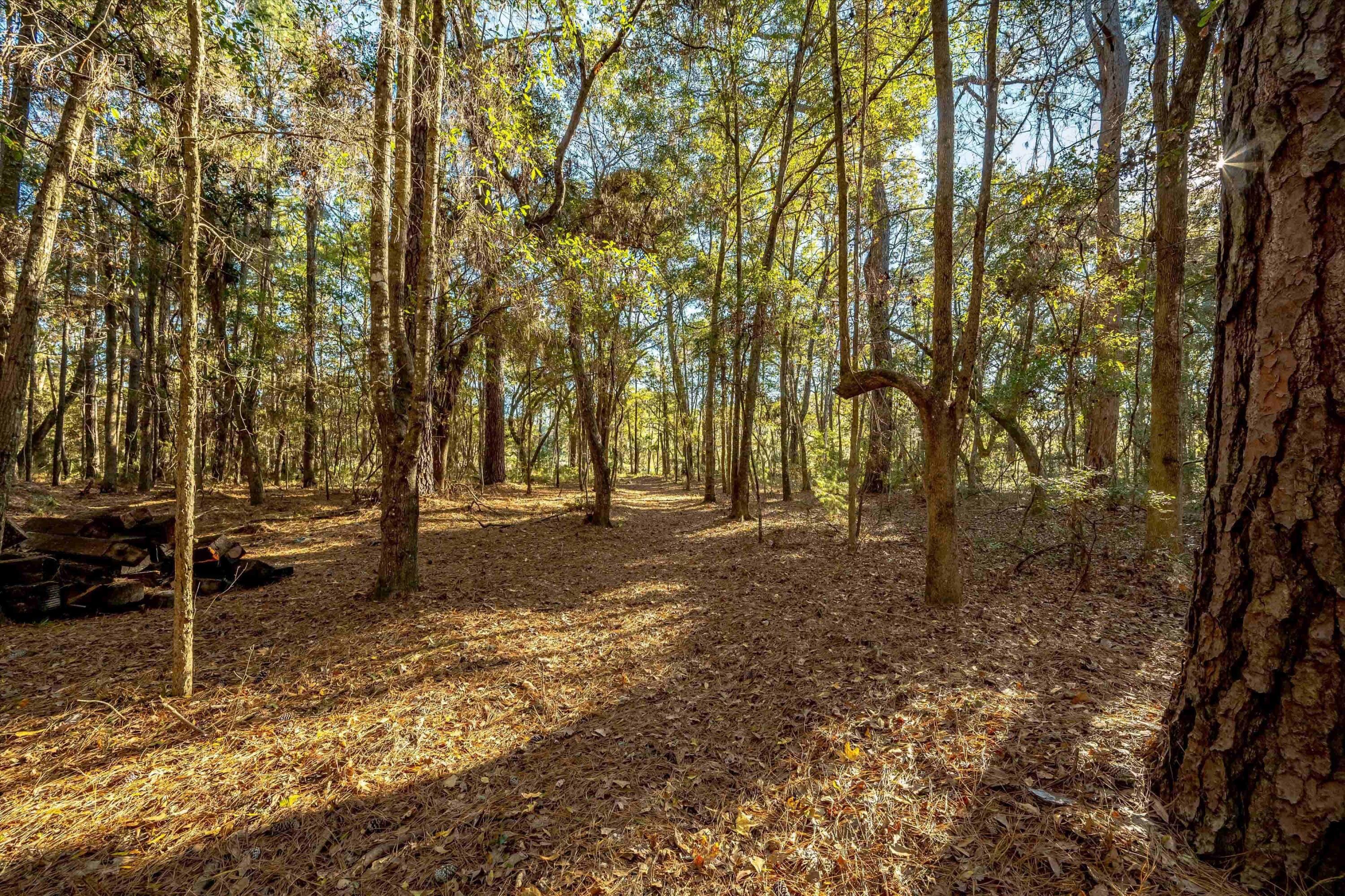 4033 River Road Johns Island, SC 29455 - Photo 15 of 24 Additional Photo