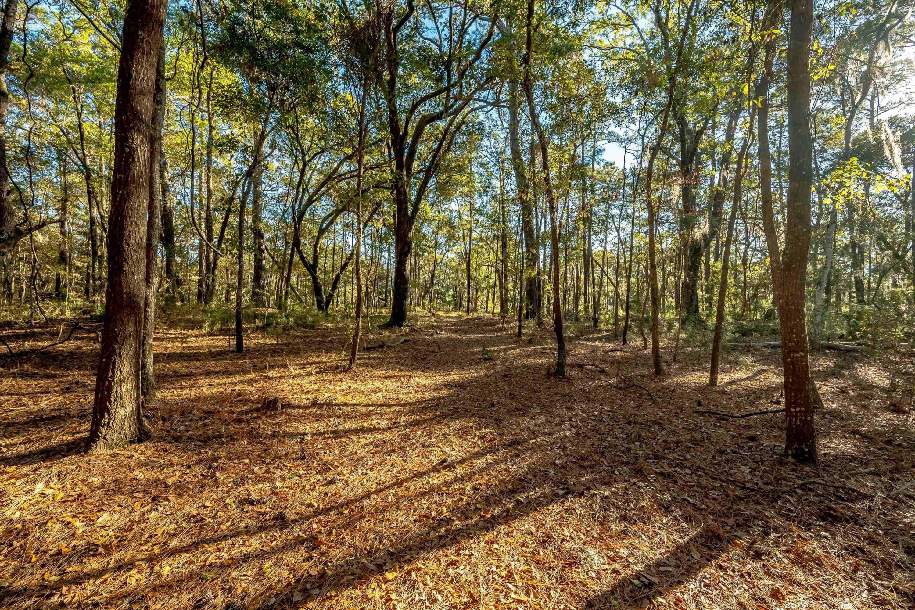 4033 River Road Johns Island, SC 29455 - Photo 16 of 24 Additional Photo