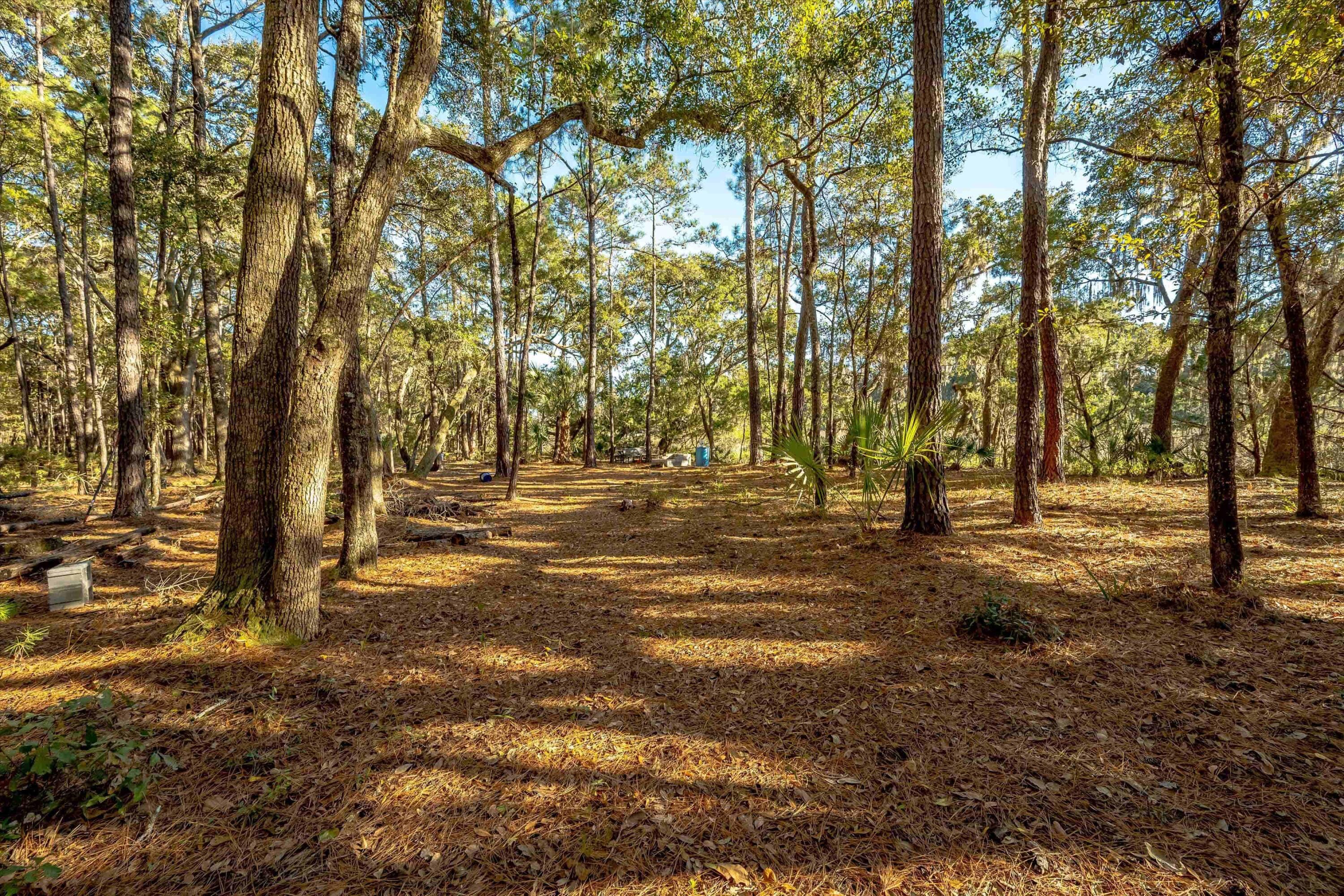 4033 River Road Johns Island, SC 29455 - Photo 17 of 24 Additional Photo