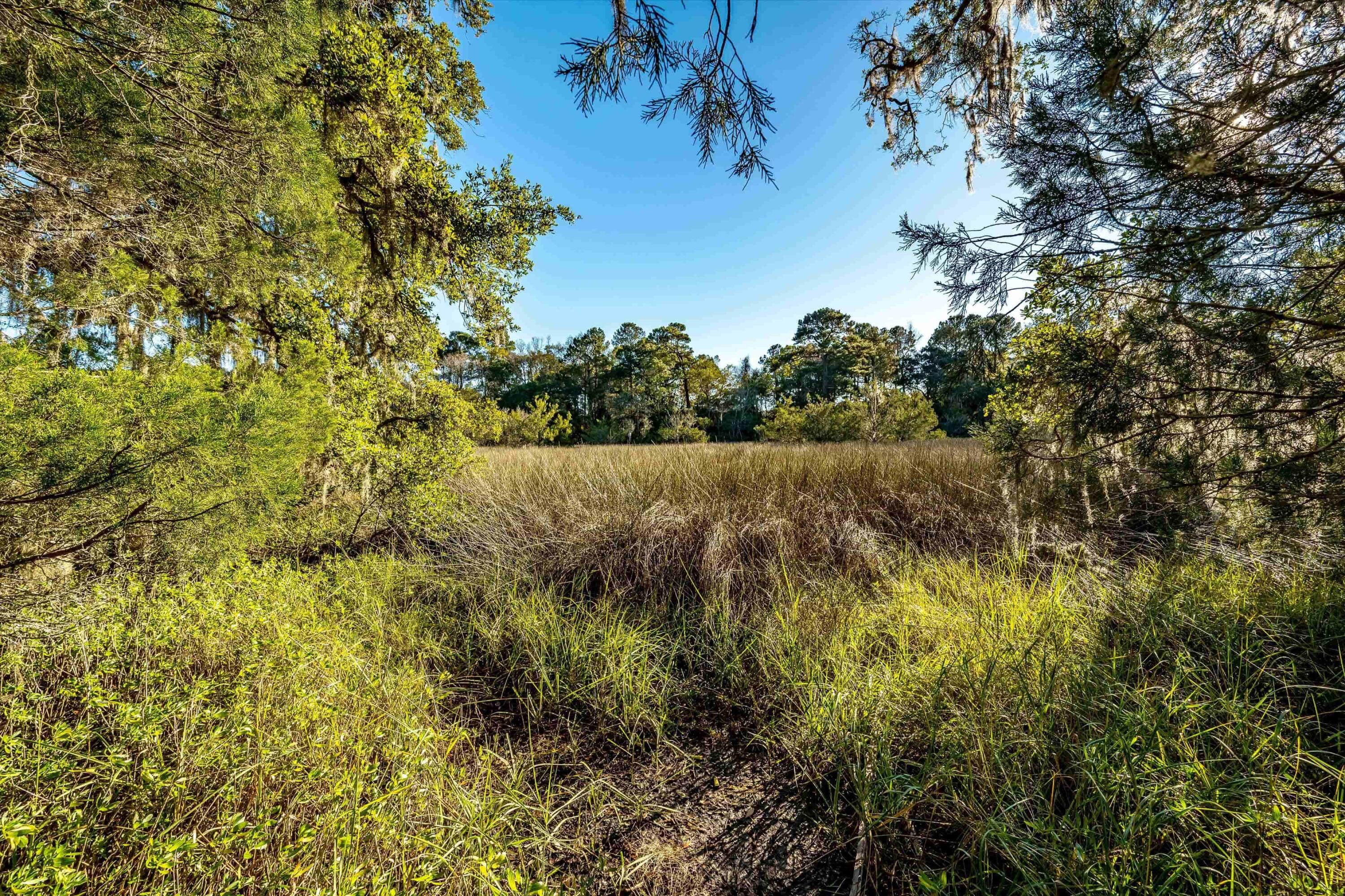 4033 River Road Johns Island, SC 29455 - Photo 18 of 24 Additional Photo