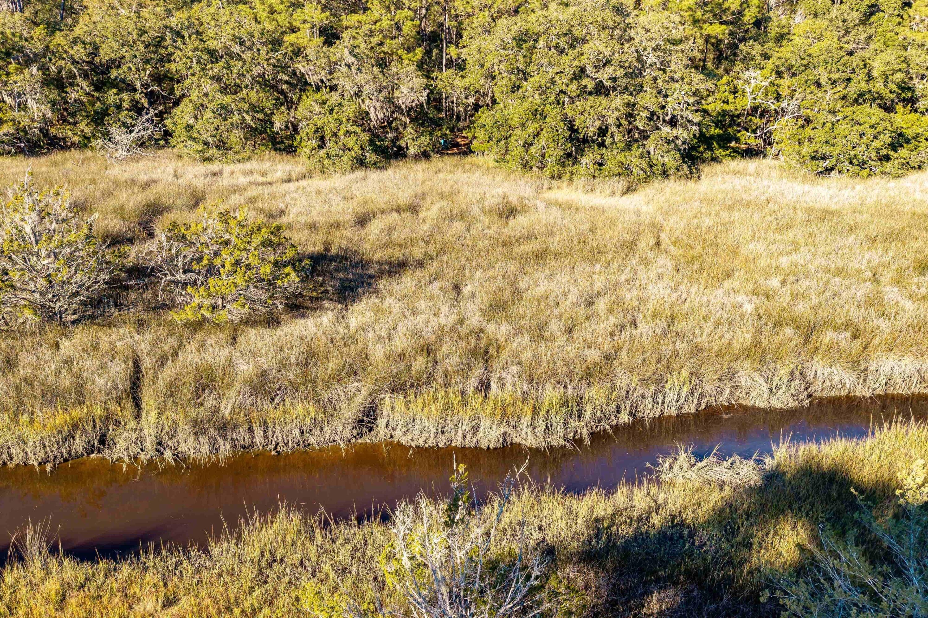 4033 River Road Johns Island, SC 29455 - Photo 19 of 24 Additional Photo