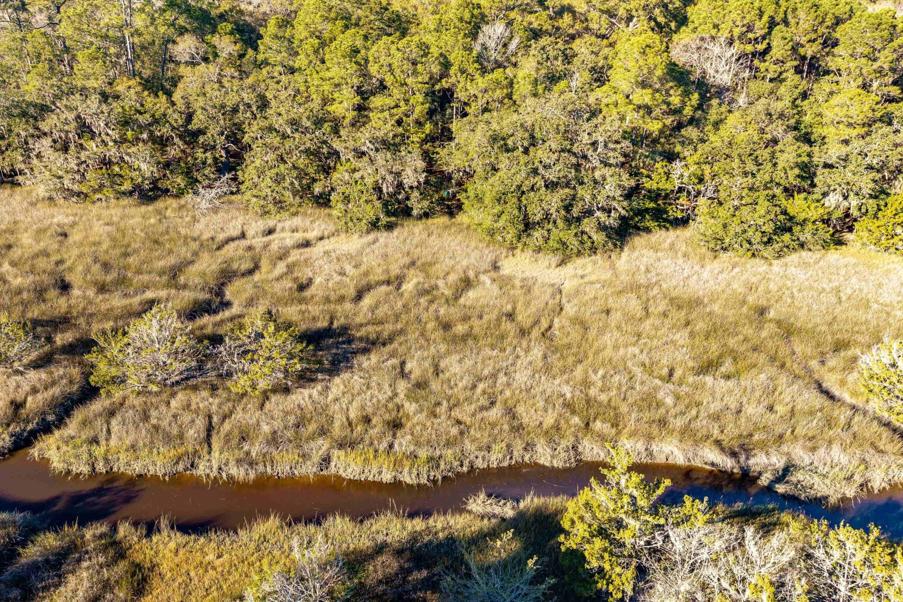 4033 River Road Johns Island, SC 29455 - Photo 20 of 24 Additional Photo