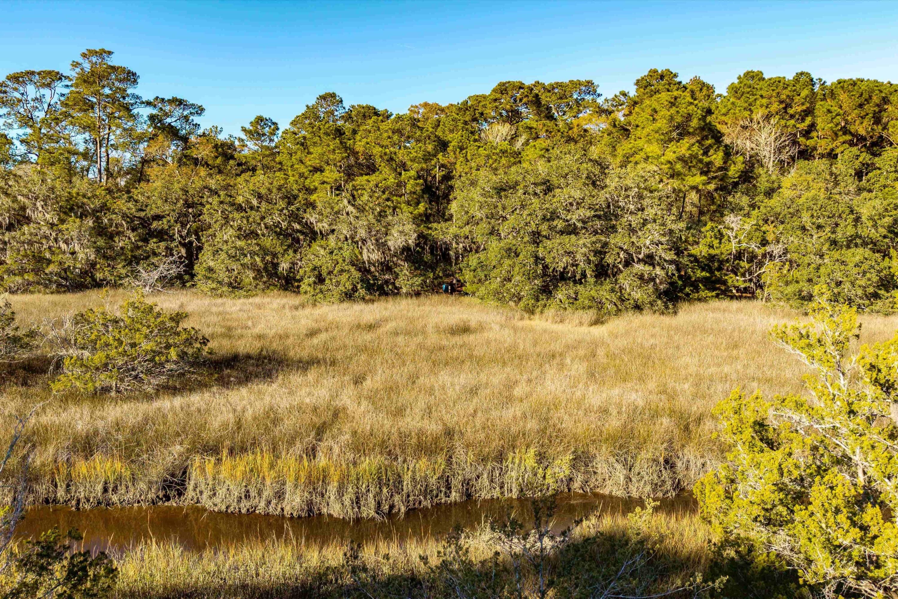 4033 River Road Johns Island, SC 29455 - Photo 2 of 24 Additional Photo