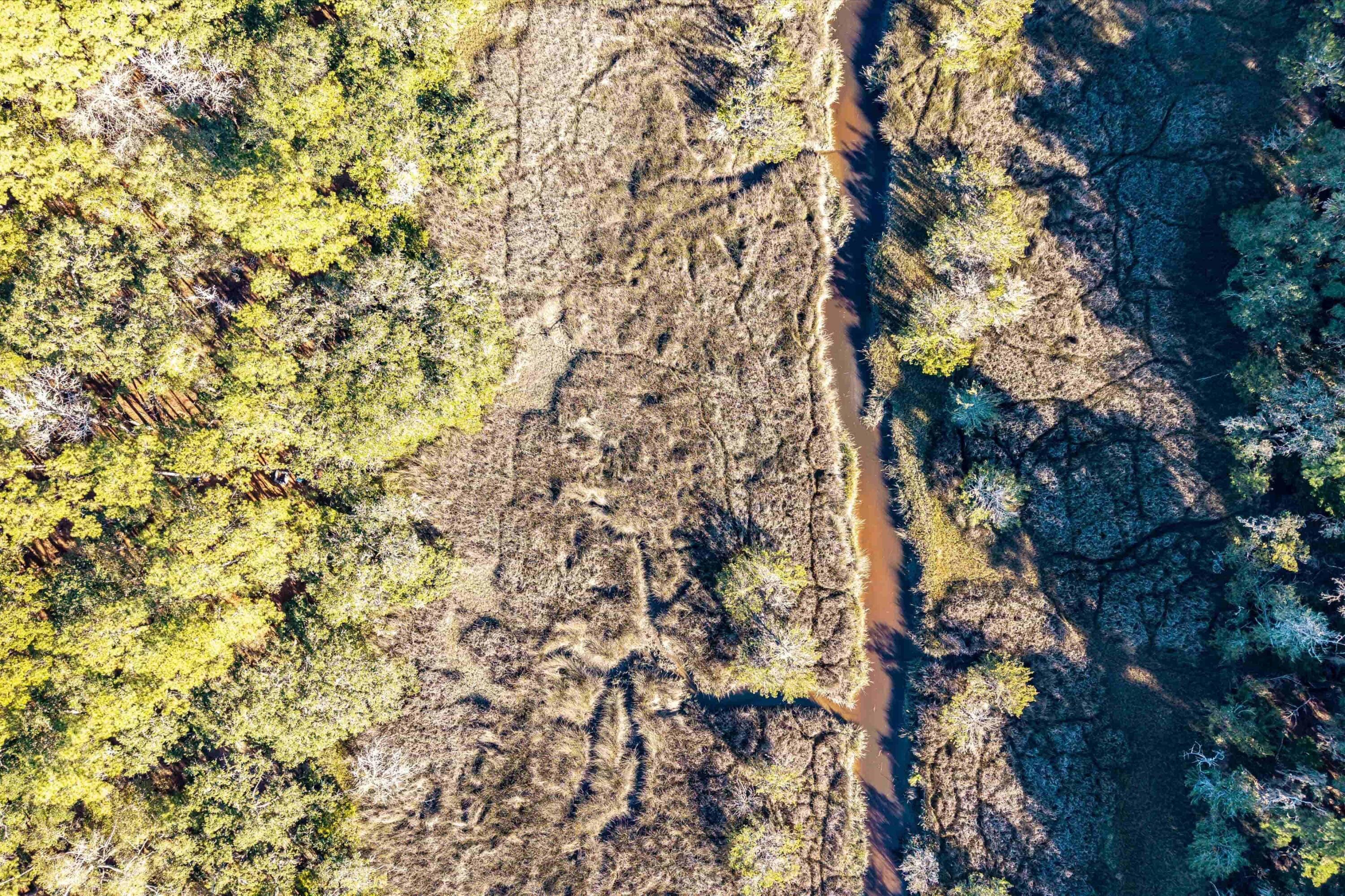 4033 River Road Johns Island, SC 29455 - Photo 22 of 24 Additional Photo