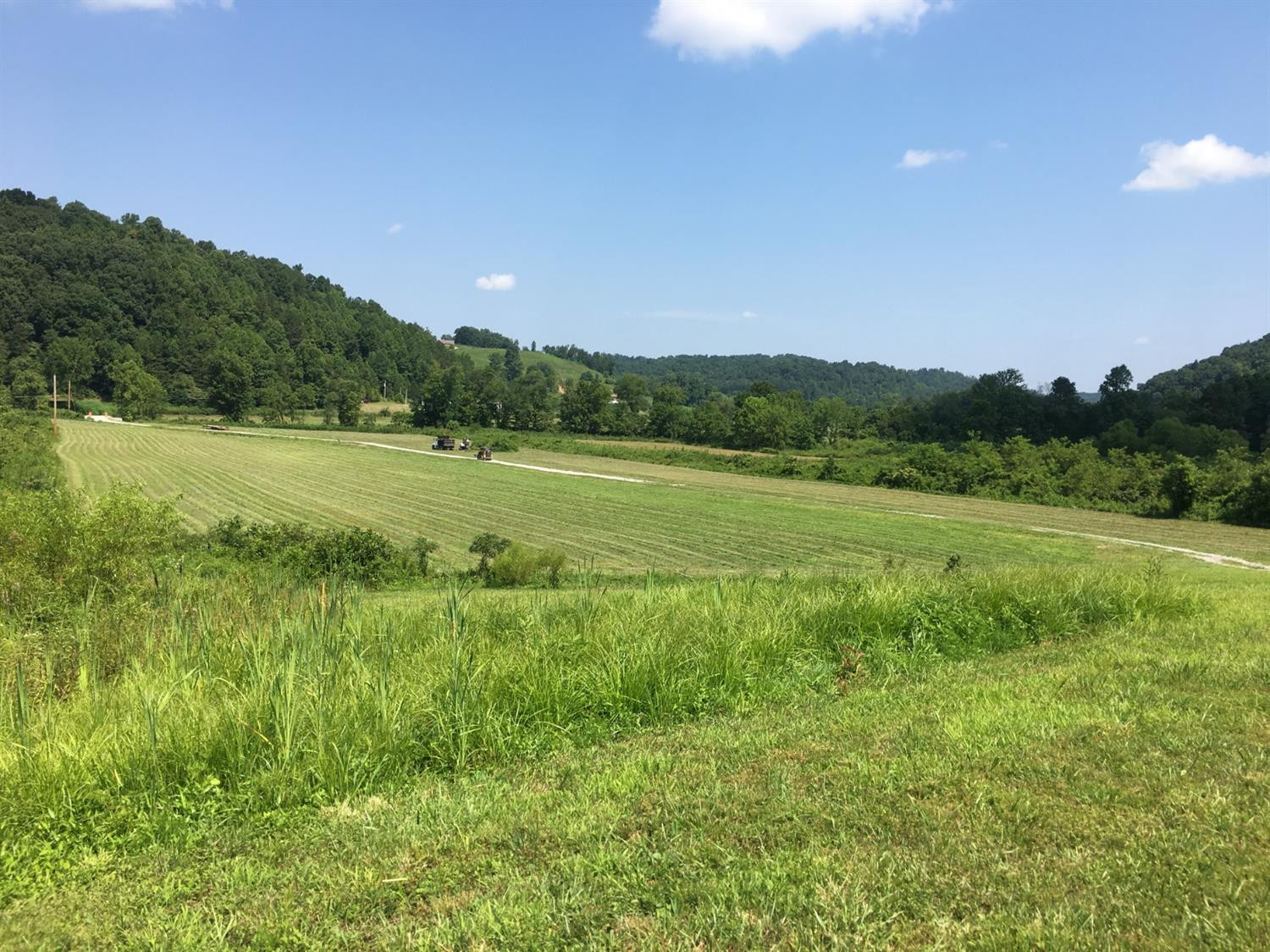8181 Johnson Road London, KY 40741 - Photo 11 of 41 Photo 11
