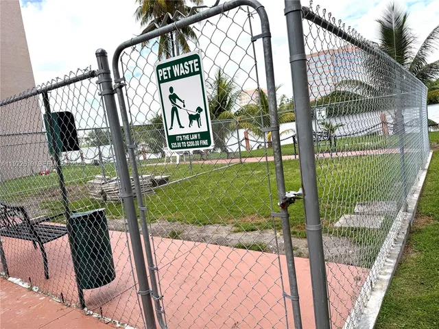 a view of a park with palm trees