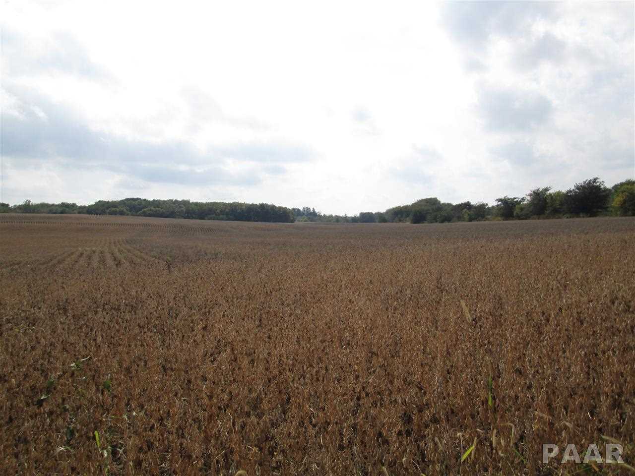 4 West Mendell Road Princeville, IL 61559 - Photo 1 of 1 Gallery Image 1