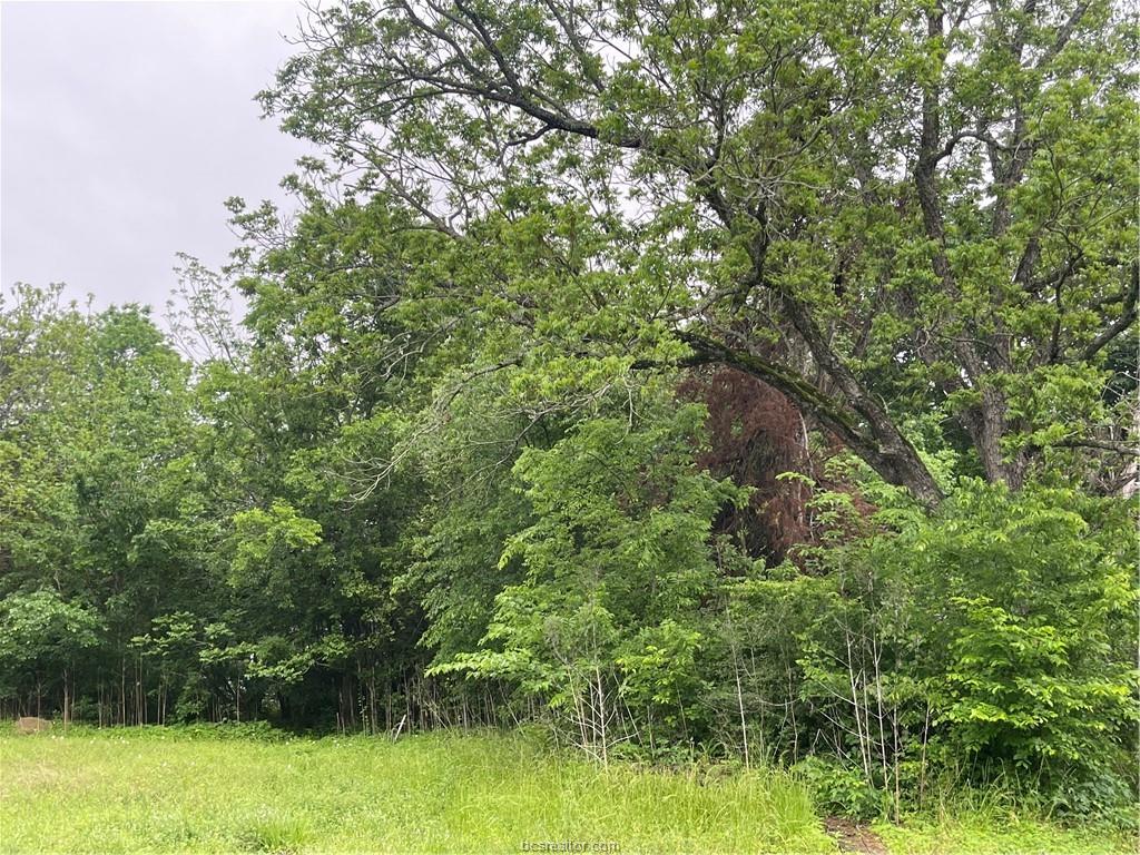 1403 Tisdale Street Bryan, TX 77808 - Photo 4 of 6 a view of a garden