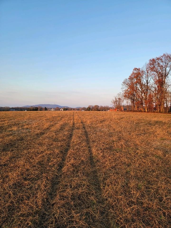 0 Center Hill Road Woodbury, TN 37190 - Photo 2 of 2