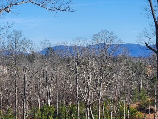 0 High River Crossing Road Ellijay, GA 30540 - Photo 1 of 1 Gallery Image 1
