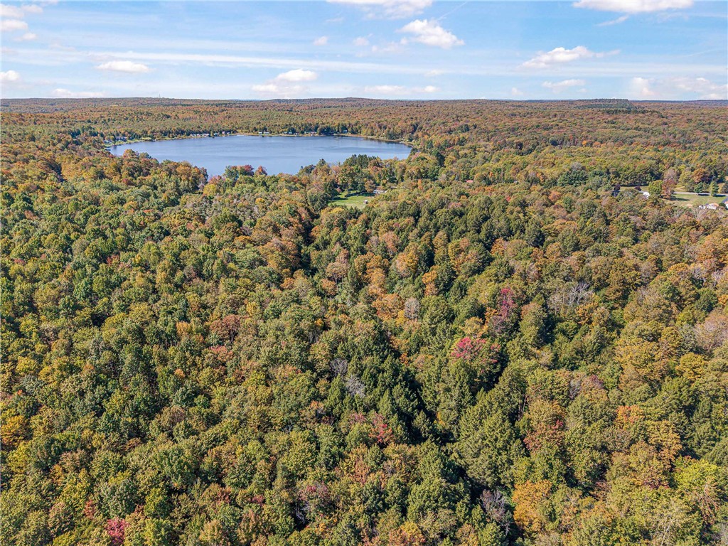 Reservoir Hill Road Norwich, NY 13815 - Photo 46 of 50