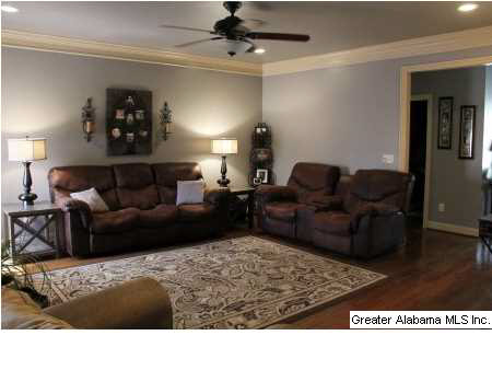 447 Ronny Lane Springville, AL 35146 - Photo 3 of 22