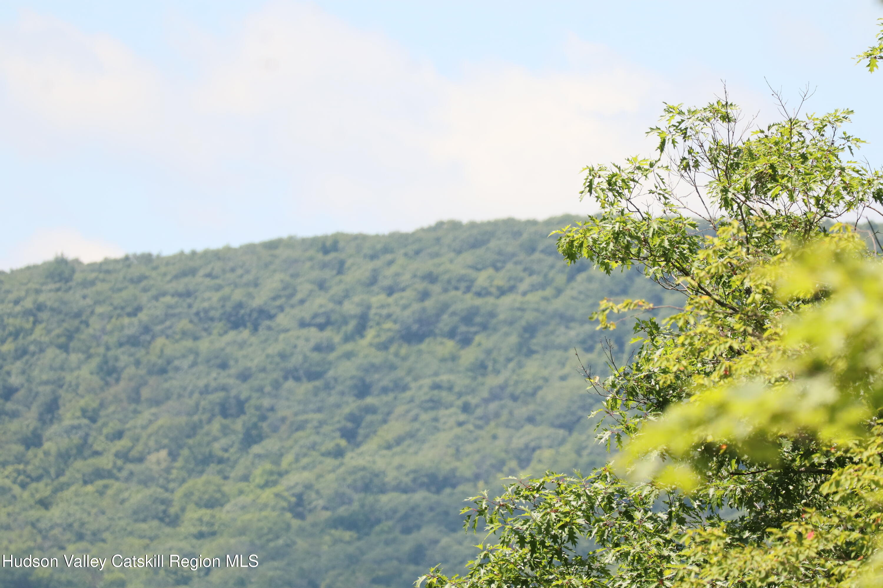 174 High Peak Road Windham, NY 12439 - Photo 24 of 27 a view of a field