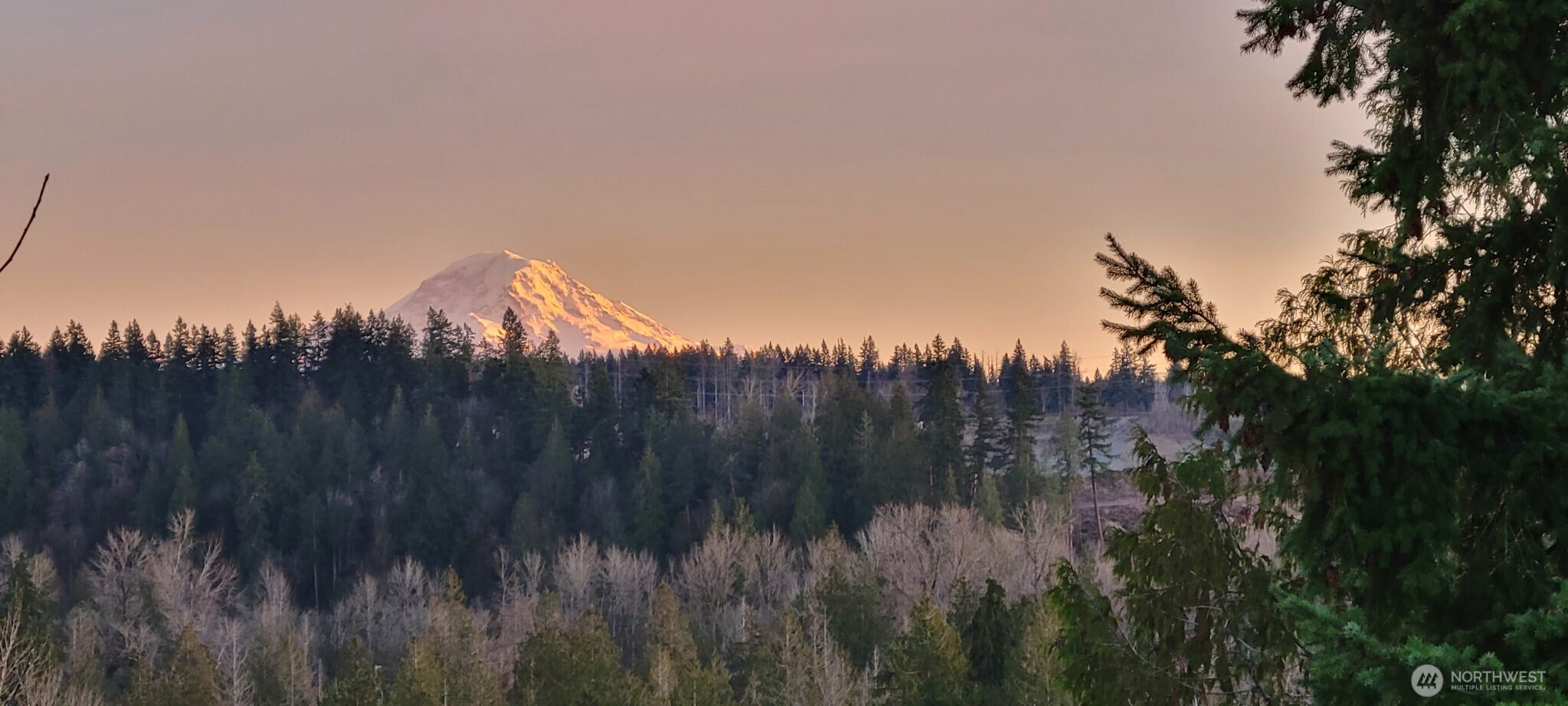 2540 Forest Ridge Drive Southeast Auburn, WA 98002 - Photo 37 of 40