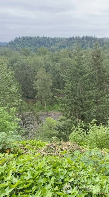 2540 Forest Ridge Drive Southeast Auburn, WA 98002 - Photo 38 of 40