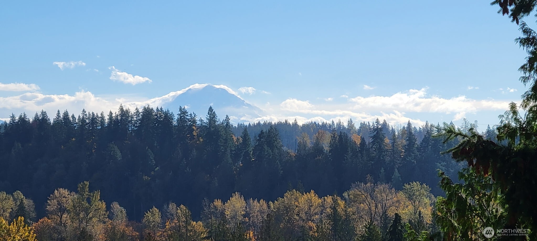 2540 Forest Ridge Drive Southeast Auburn, WA 98002 - Photo 39 of 40
