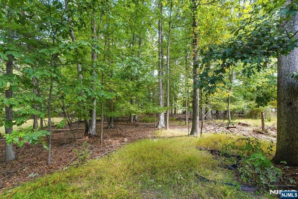 204 West Northfield Road Livingston, NJ 07039 - Photo 27 of 34