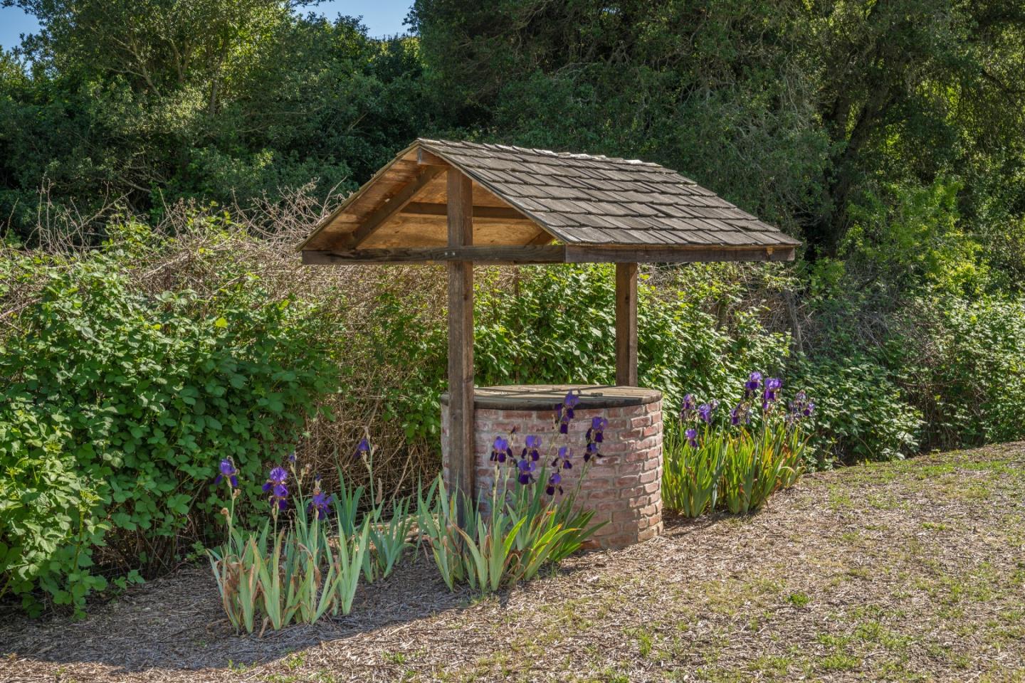 3075 Dry Creek Road Napa, CA 94558 - Photo 41 of 45