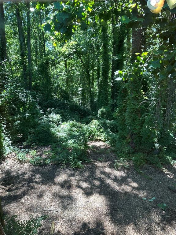 3117 Reeves Street Smyrna, GA 30080 - Photo 19 of 22