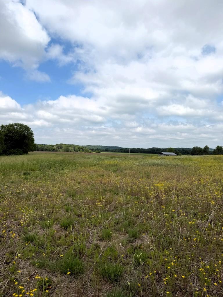 Lot 2 County Road Boyceville, WI 54725 - Photo 12 of 12