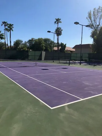 a tennis court that has a tree in the background