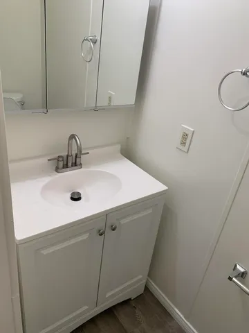 a bathroom with a sink and a toilet
