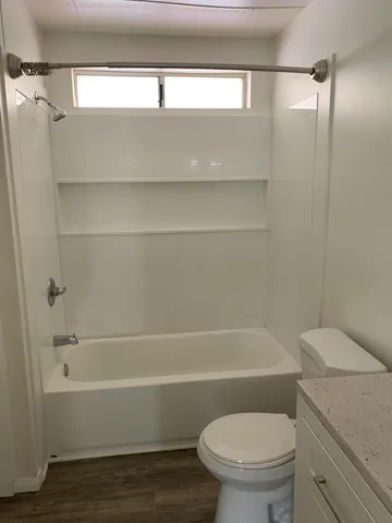 a bathroom with a toilet and a bathtub