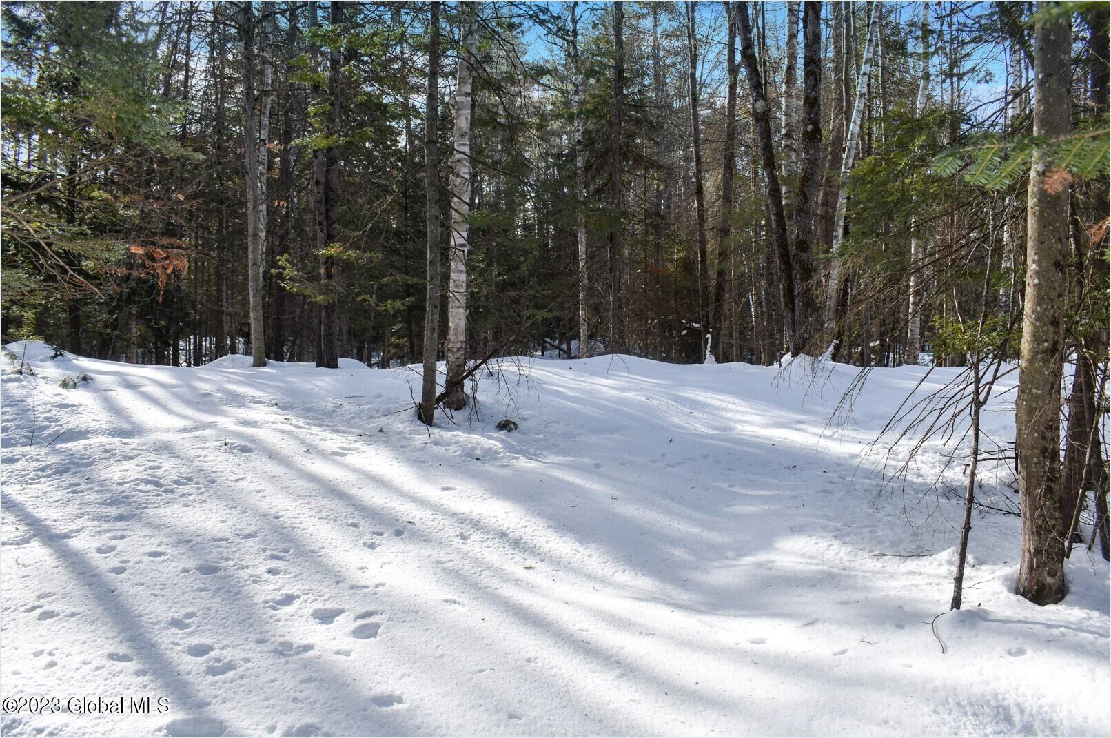 L9 Byrd Pond Road North Creek, NY 12853 - Photo 11 of 27 b17