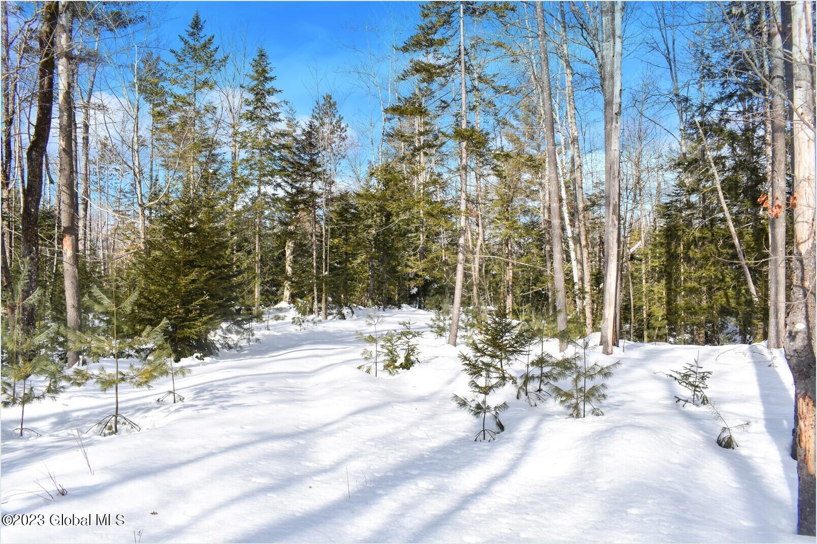 L9 Byrd Pond Road North Creek, NY 12853 - Photo 12 of 27 b20