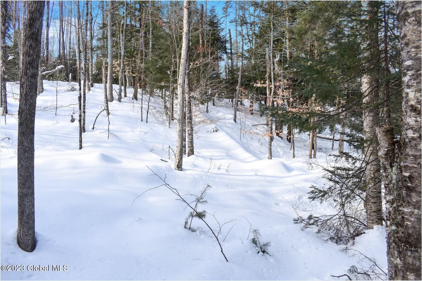 L9 Byrd Pond Road North Creek, NY 12853 - Photo 16 of 27 b6