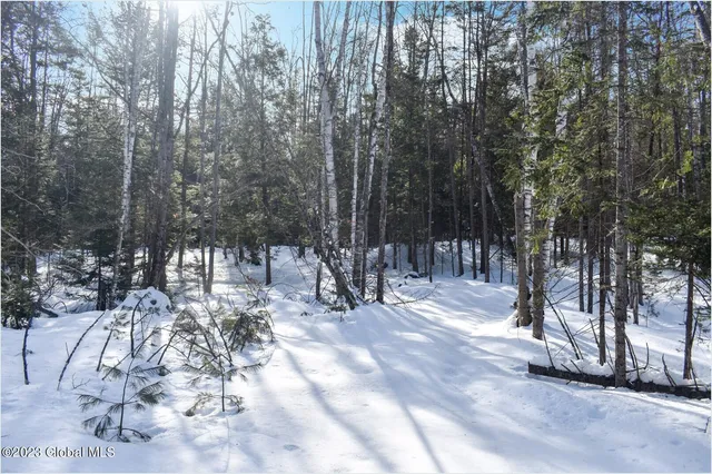 $129,000 | L9 Byrd Pond Road, North Creek, NY 12853