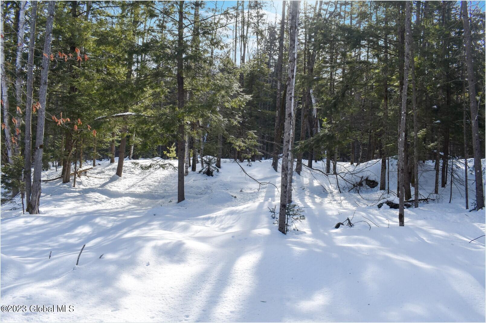 L9 Byrd Pond Road North Creek, NY 12853 - Photo 21 of 27 b15