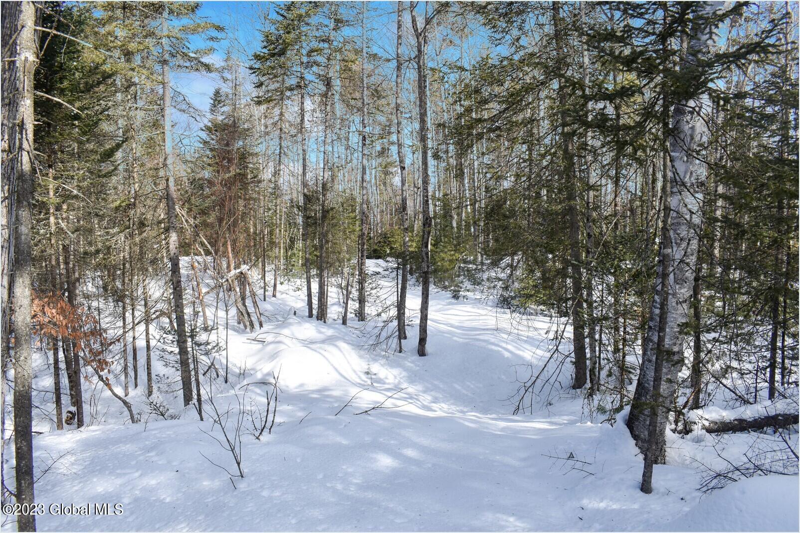 L9 Byrd Pond Road North Creek, NY 12853 - Photo 23 of 27 b21