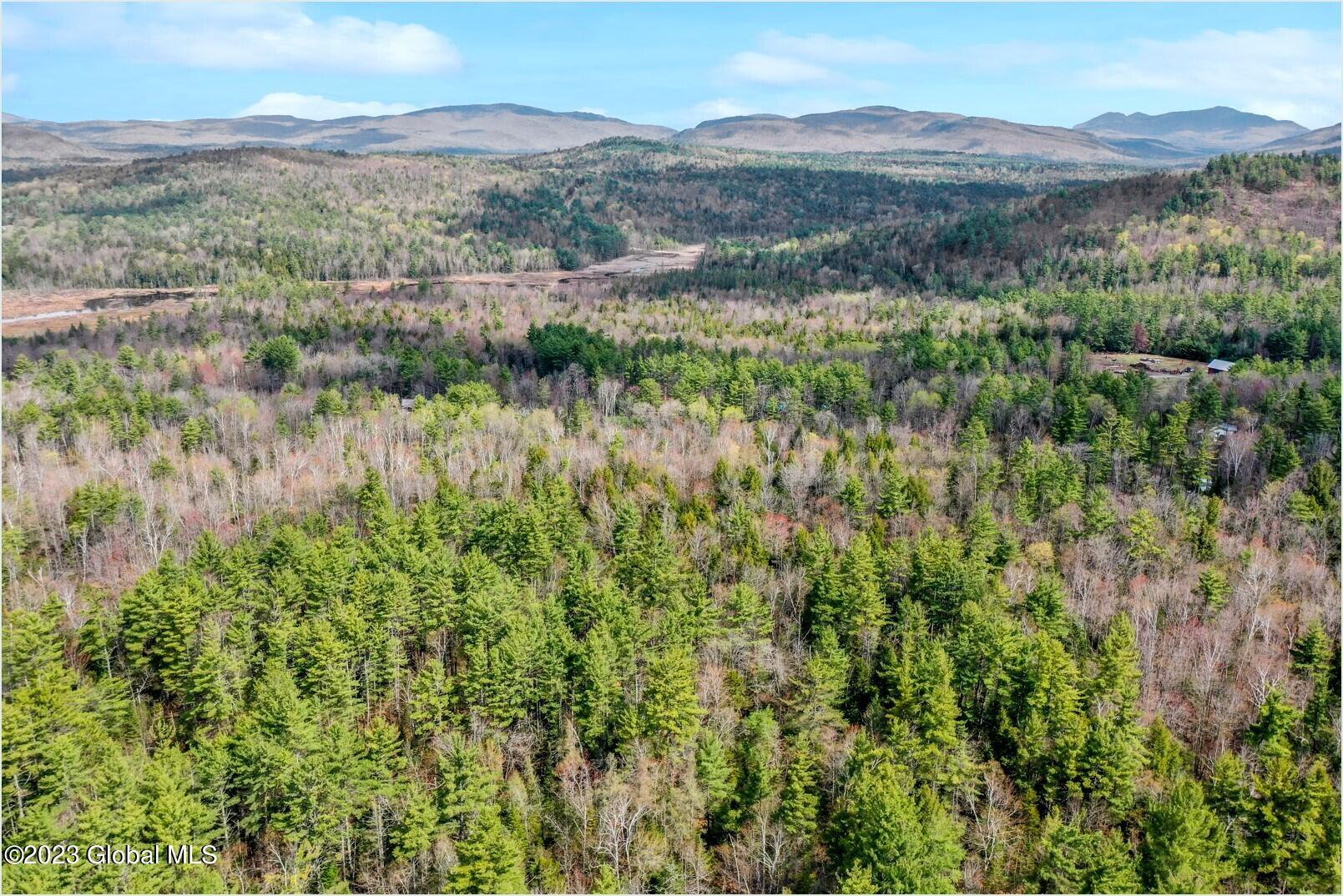 L9 Byrd Pond Road North Creek, NY 12853 - Photo 24 of 27 b3