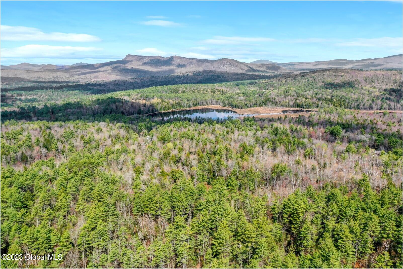 L9 Byrd Pond Road North Creek, NY 12853 - Photo 26 of 27 b4