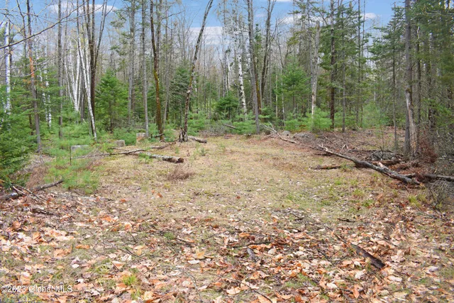 $129,000 | L9 Byrd Pond Road, North Creek, NY 12853