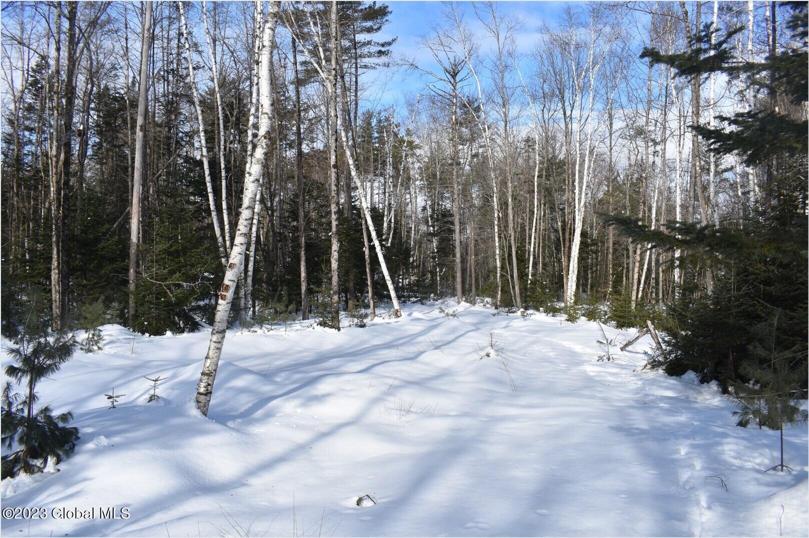 L9 Byrd Pond Road North Creek, NY 12853 - Photo 7 of 27 b14