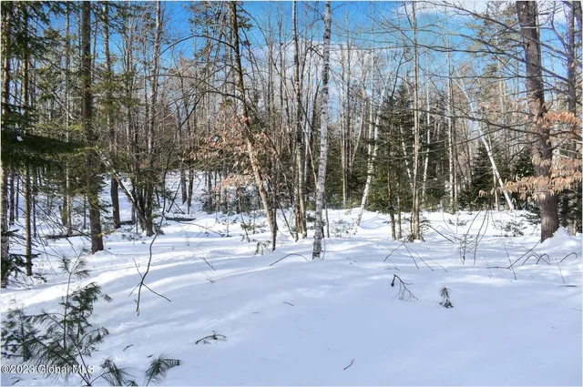 $129,000 | L9 Byrd Pond Road, North Creek, NY 12853