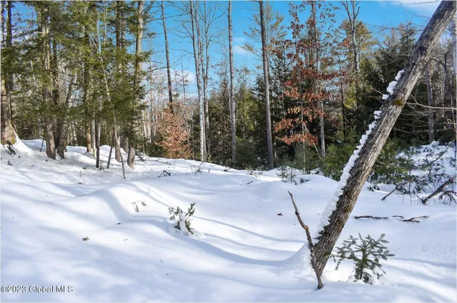 $129,000 | L9 Byrd Pond Road, North Creek, NY 12853